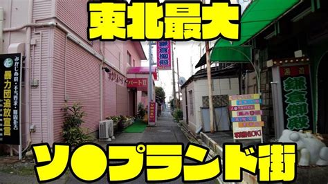 【東北最大】小名浜ソ プランド全15店舗を徹底解説